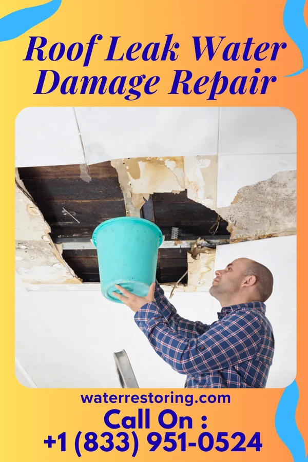 Roof Leak Water Damage Repair in Altoona, WI
